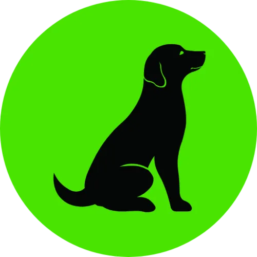 dog icon
