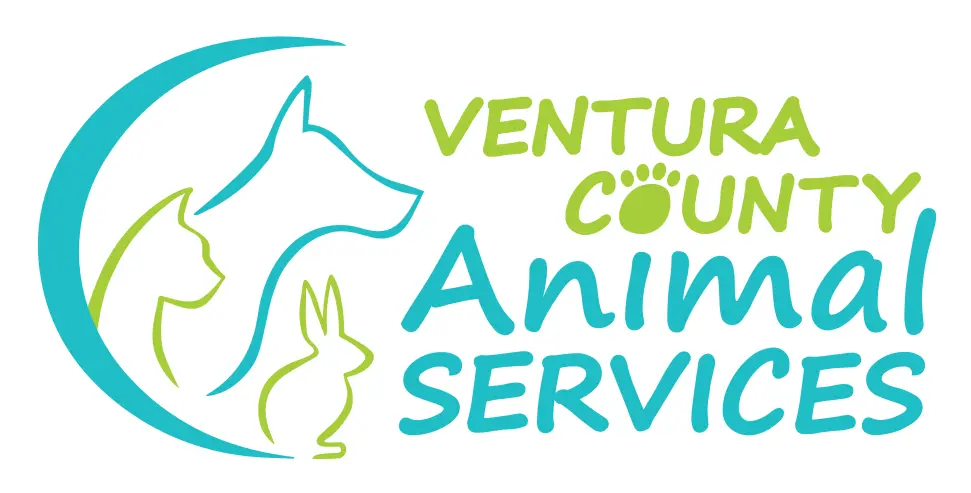 VCAS Logo